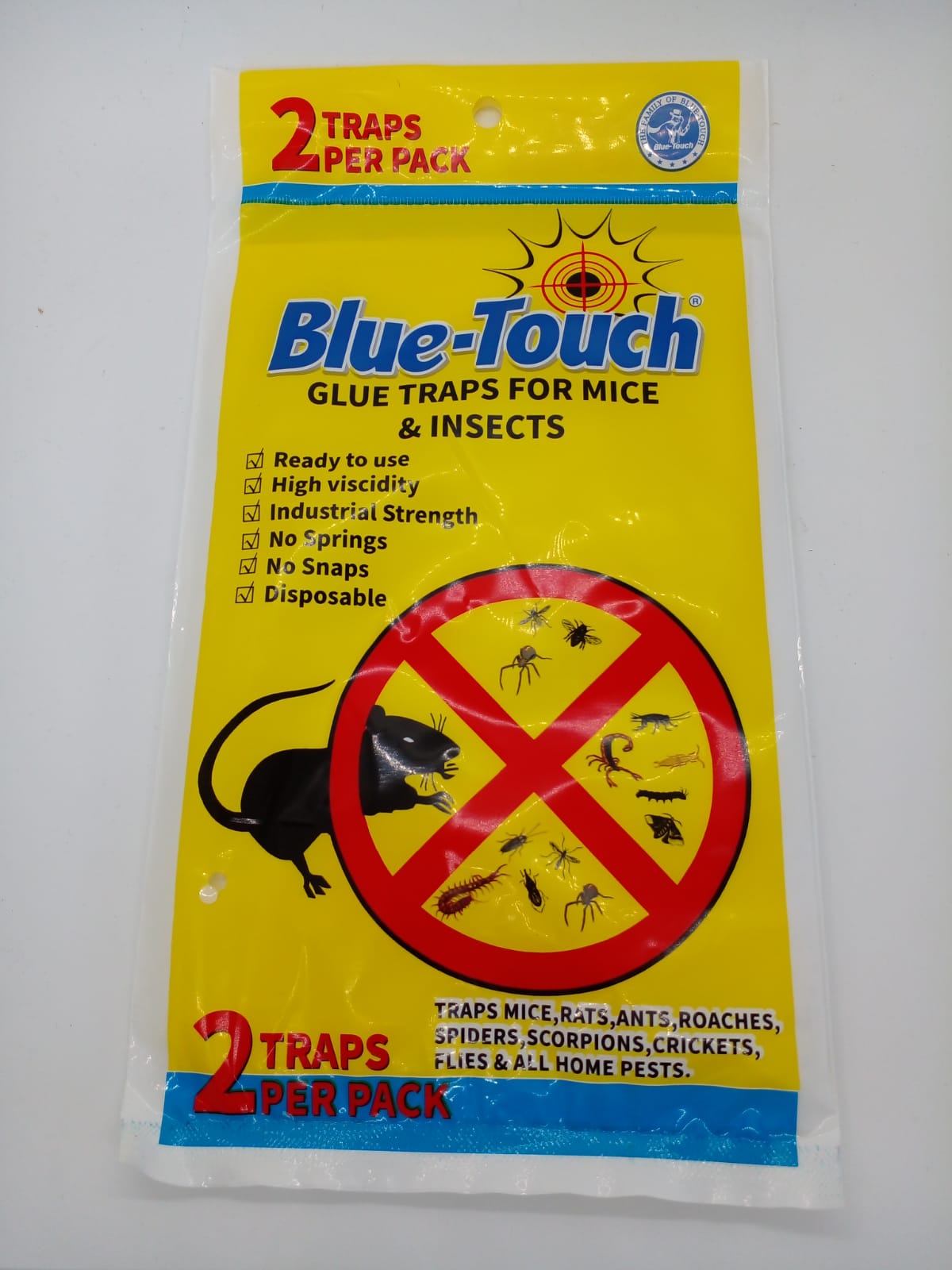 Small Flat Glue Traps