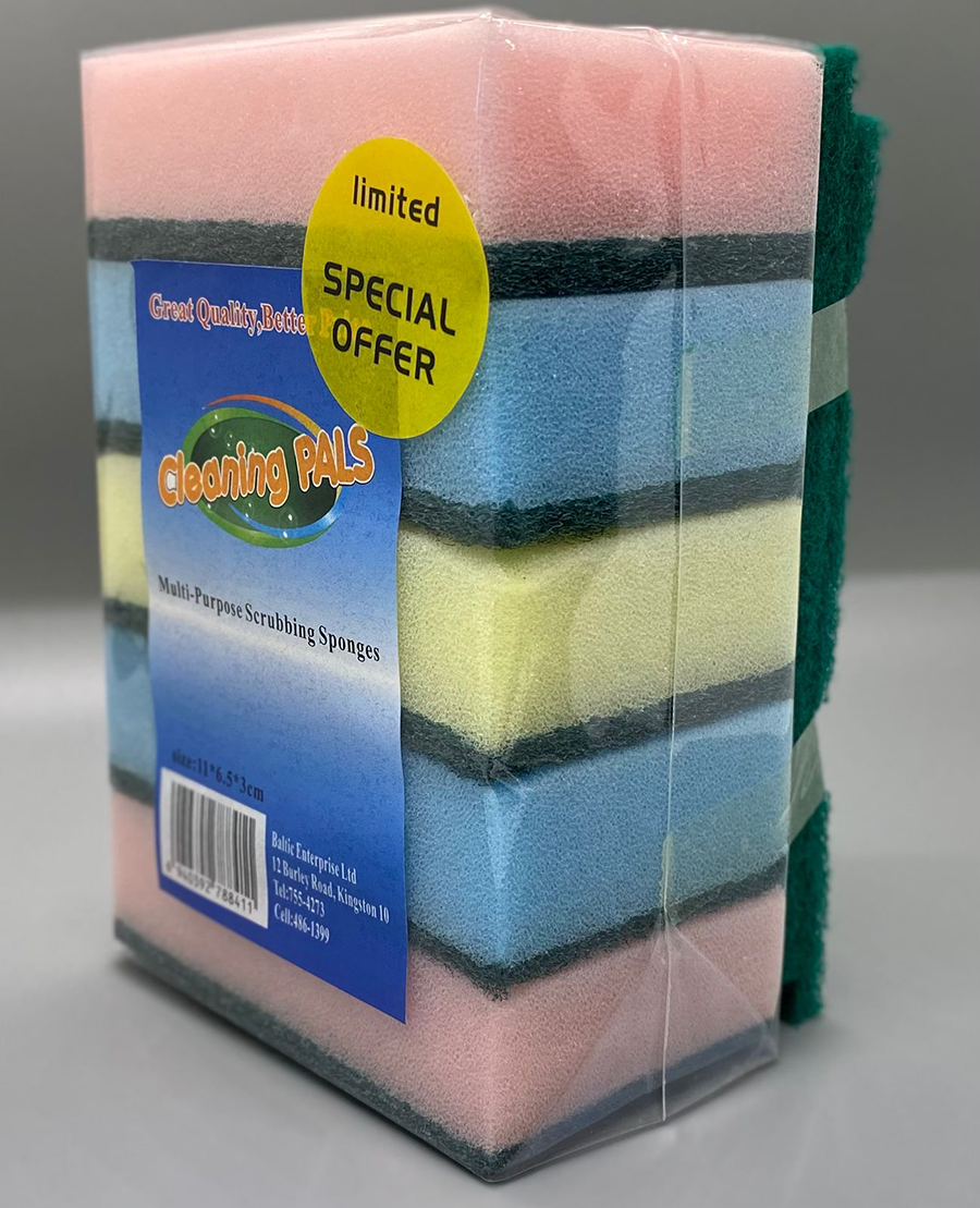 5pk Scrubbing Sponge