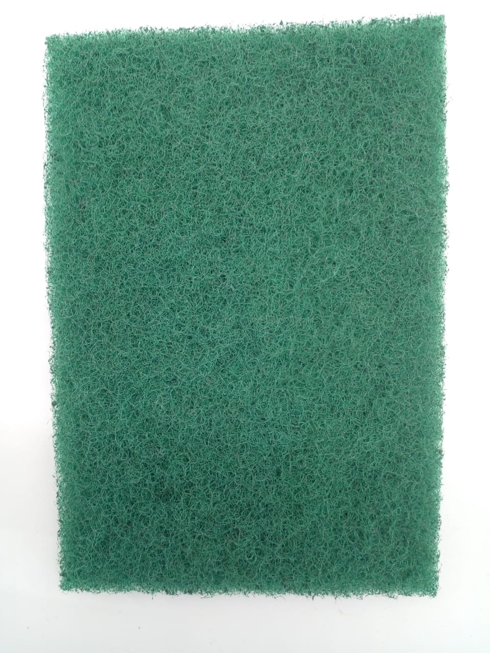 Scouring Pad - BE006 Scouring Pad - BE006